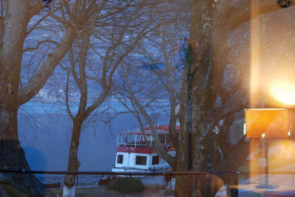 Lake View Apartment Ioannina Exterior foto